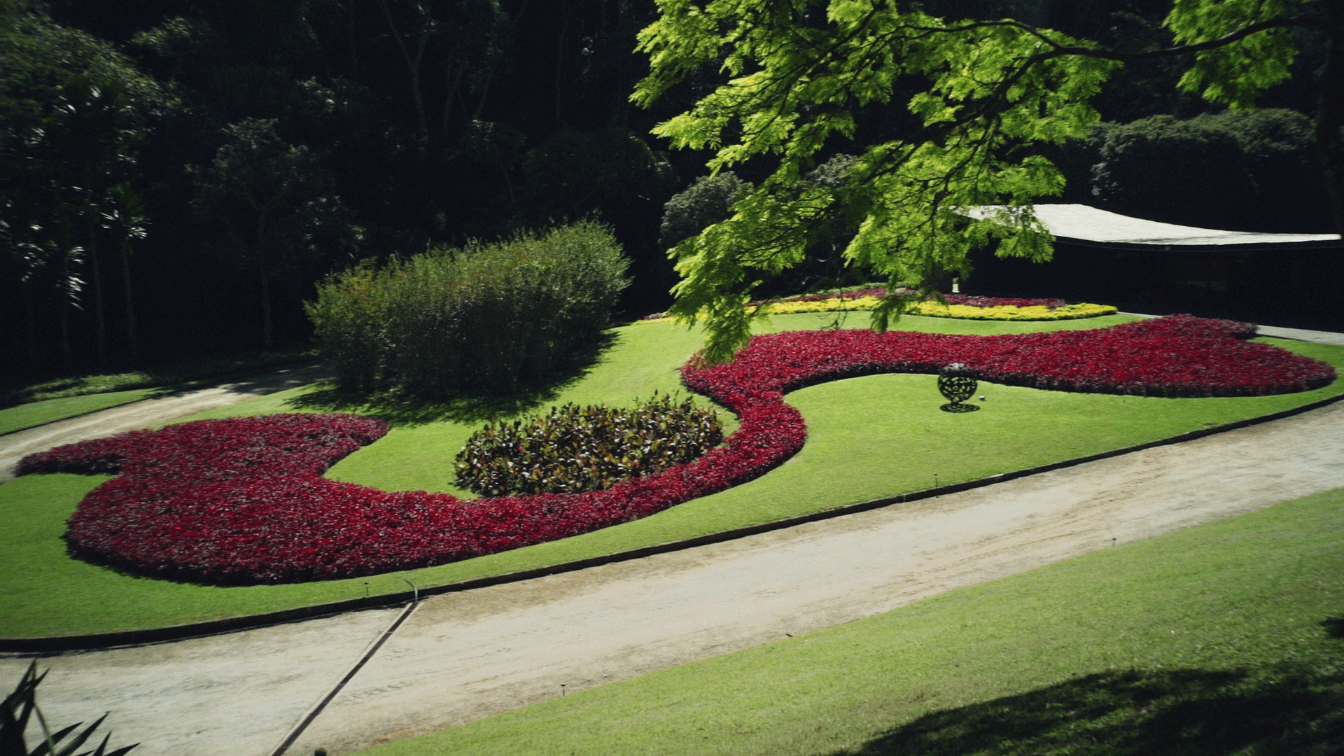 FILME PAISAGEM – UM OLHAR SOBRE ROBERTO BURLE MARX